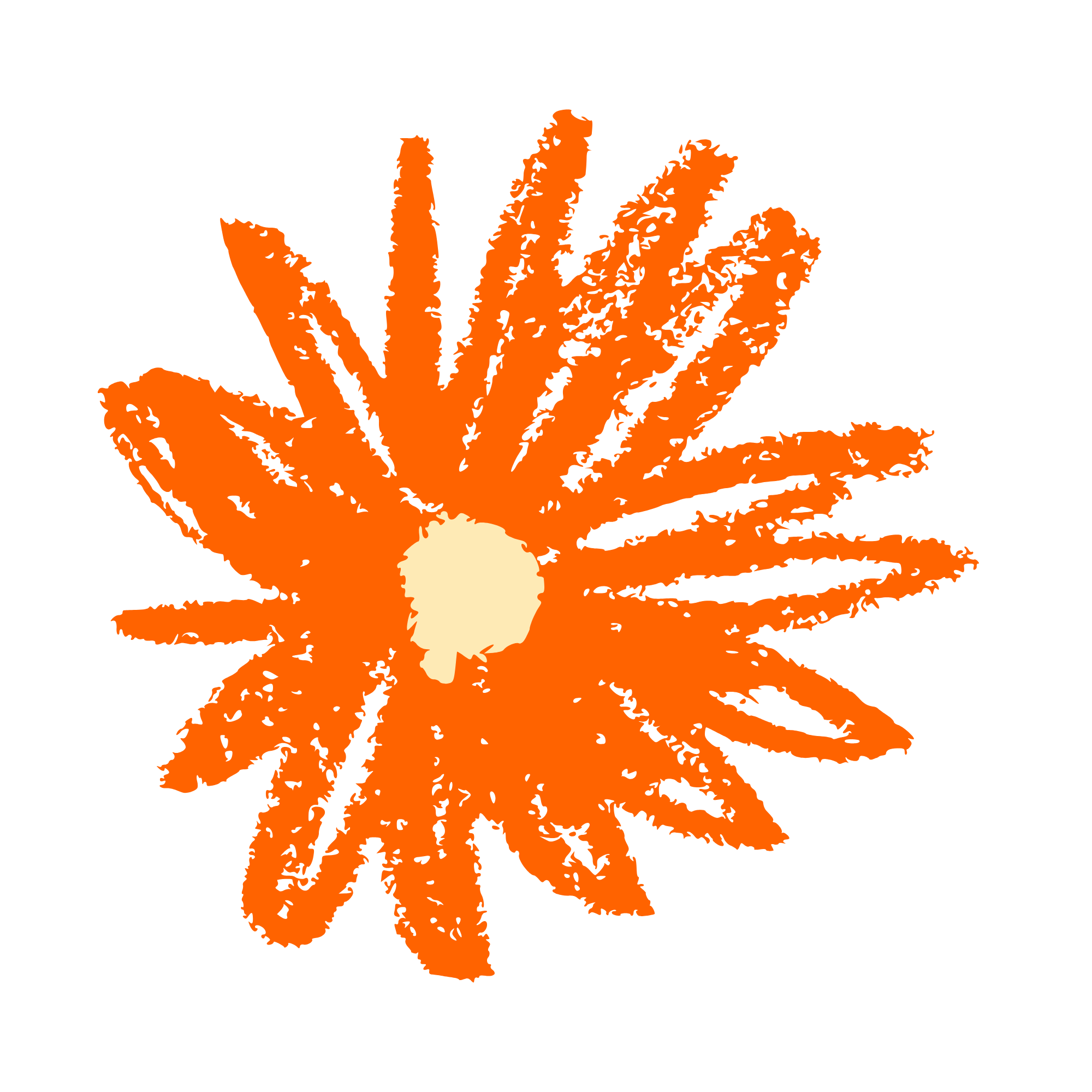 flor naranja _eliana carrillo_pagina web