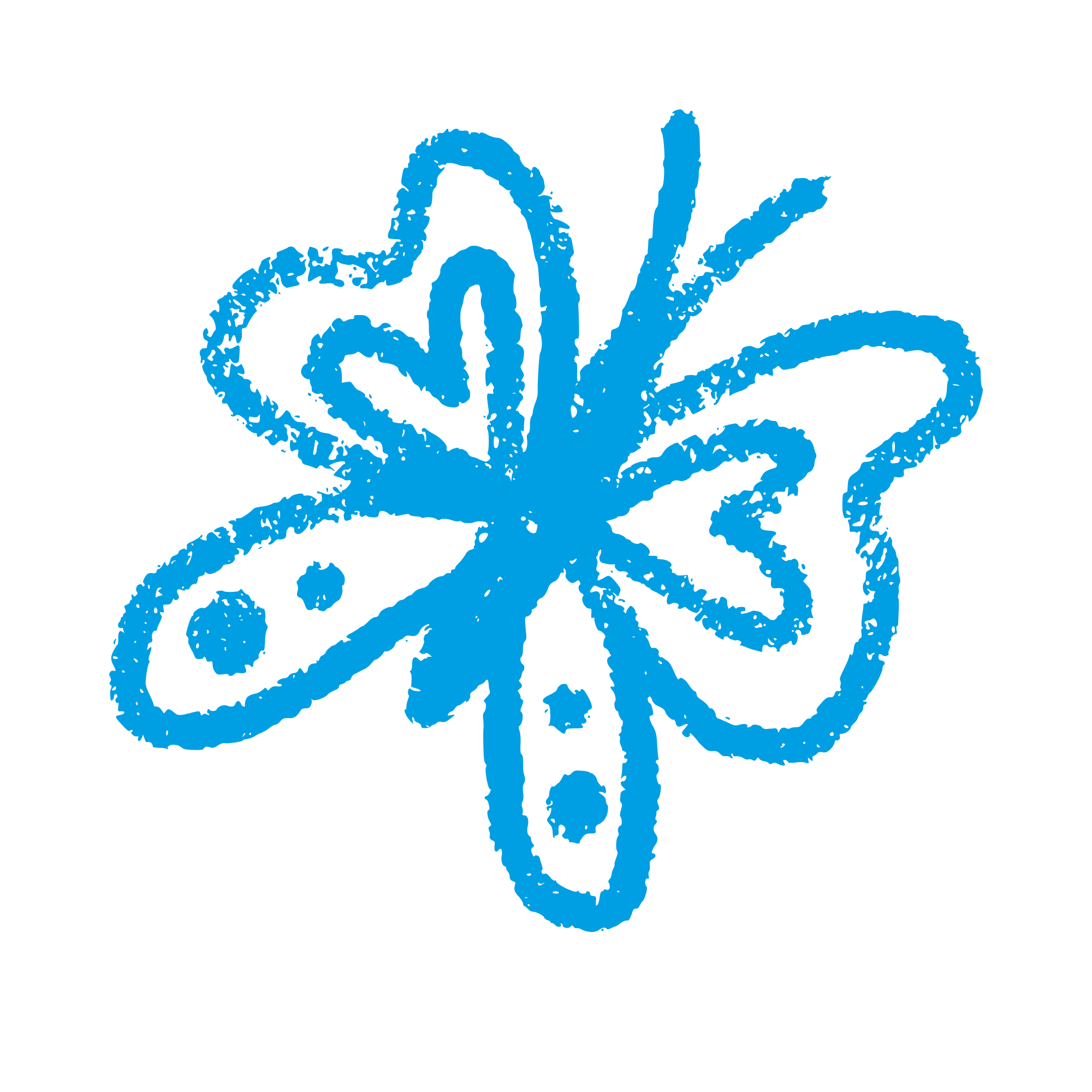 mariposa _eliana carrillo_pagina web